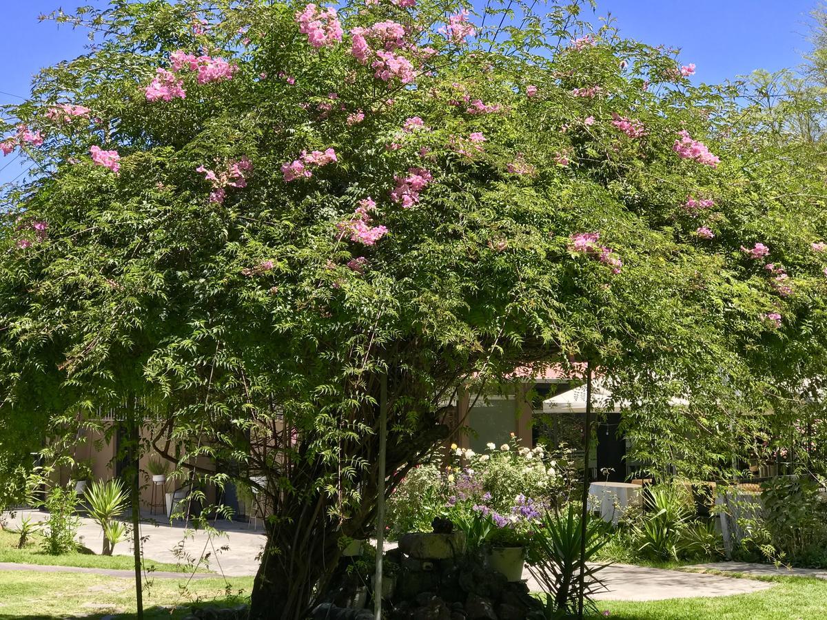 מלון ארקוויפה Grace Valley מראה חיצוני תמונה