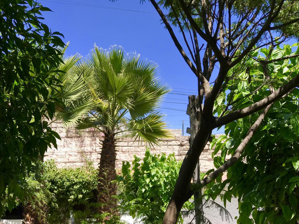 מלון ארקוויפה Grace Valley מראה חיצוני תמונה