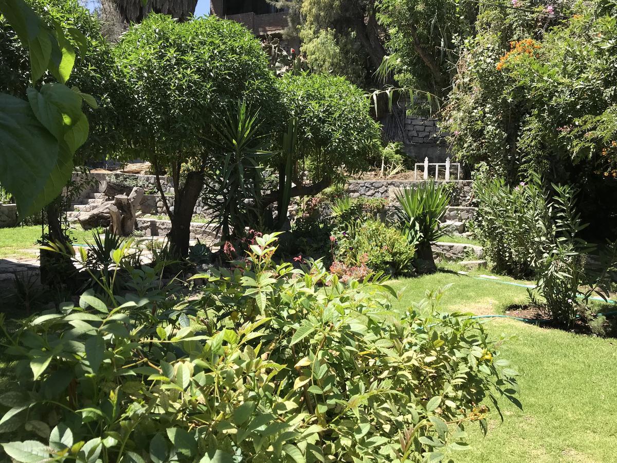 מלון ארקוויפה Grace Valley מראה חיצוני תמונה