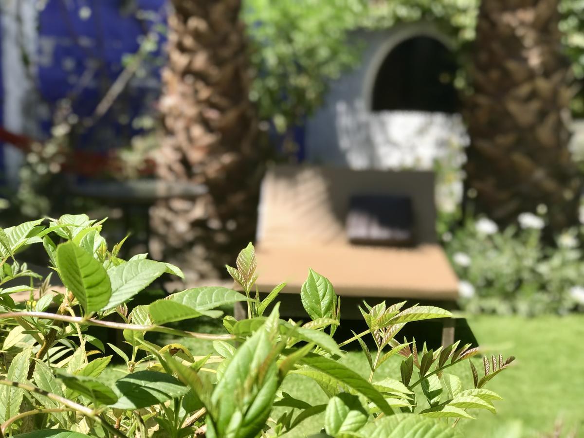 מלון ארקוויפה Grace Valley מראה חיצוני תמונה