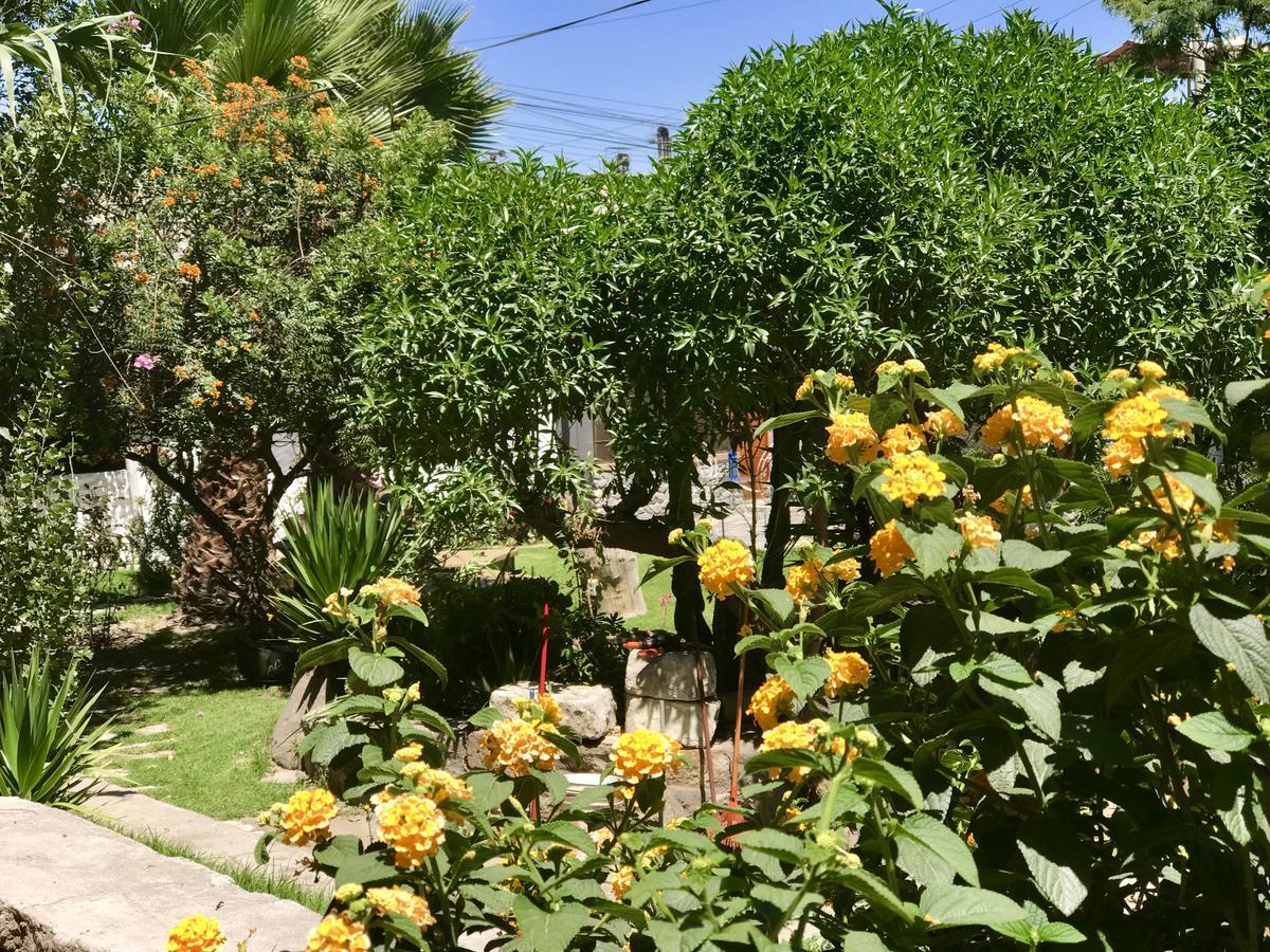 מלון ארקוויפה Grace Valley מראה חיצוני תמונה