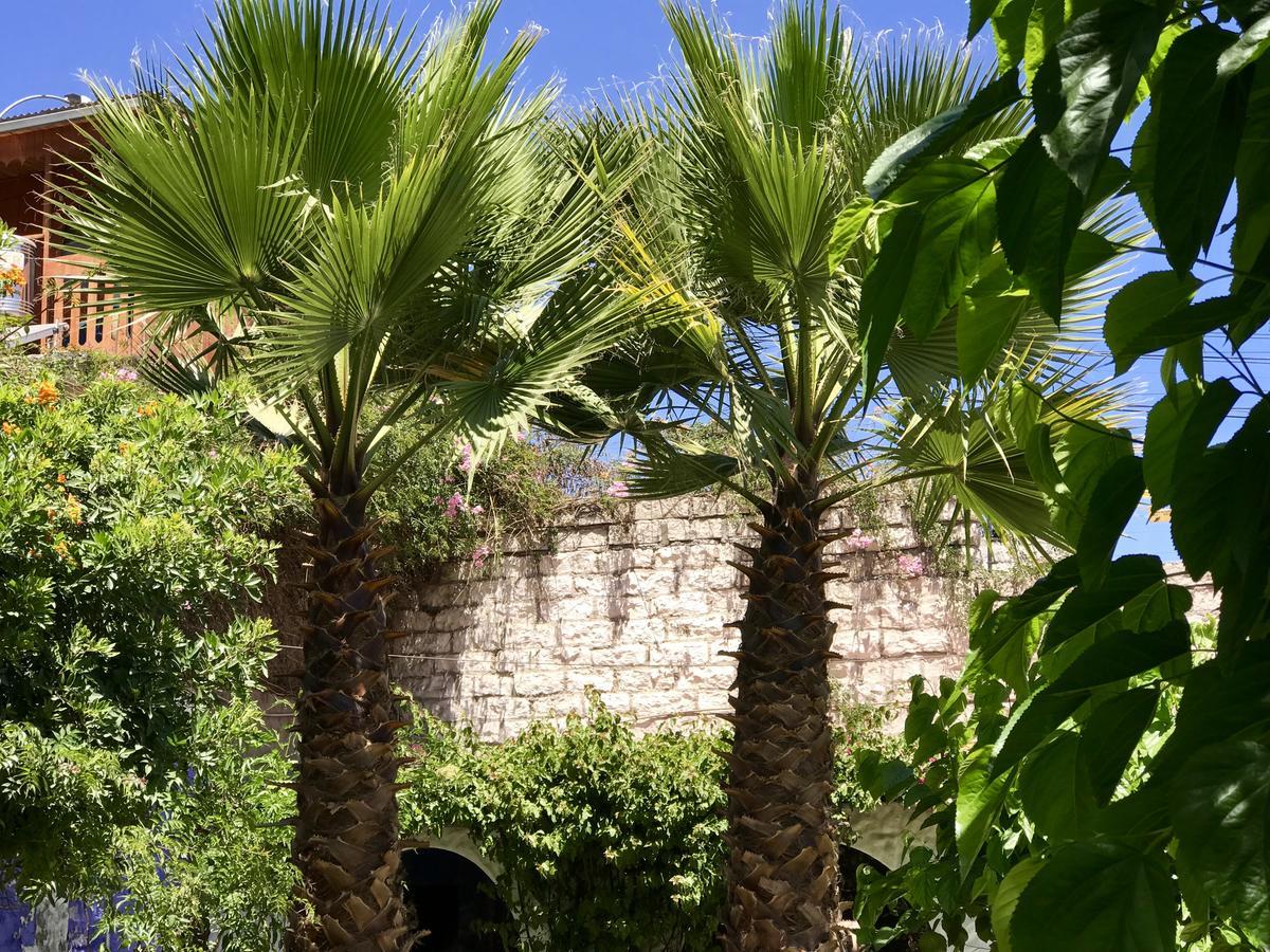 מלון ארקוויפה Grace Valley מראה חיצוני תמונה