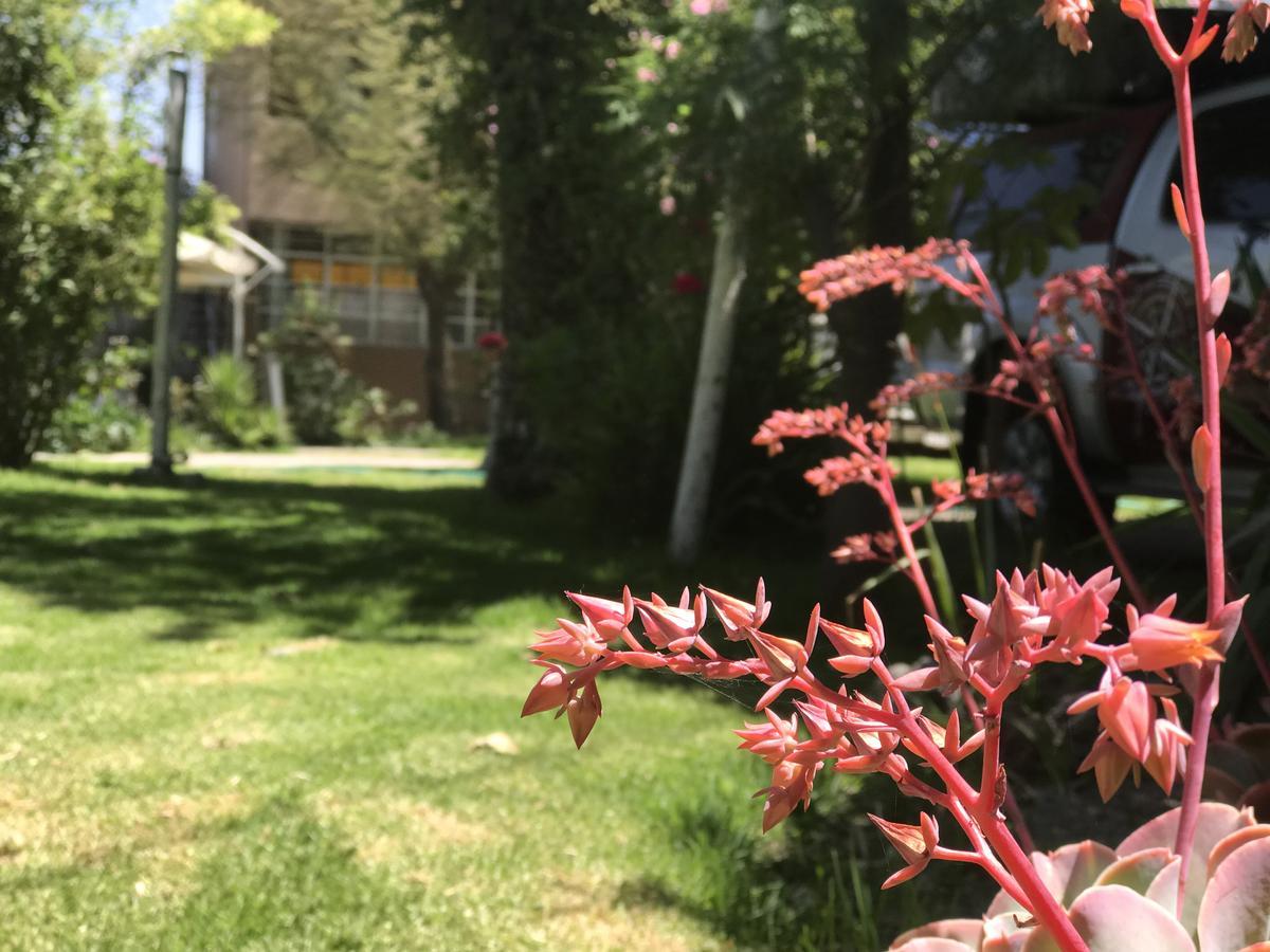 מלון ארקוויפה Grace Valley מראה חיצוני תמונה